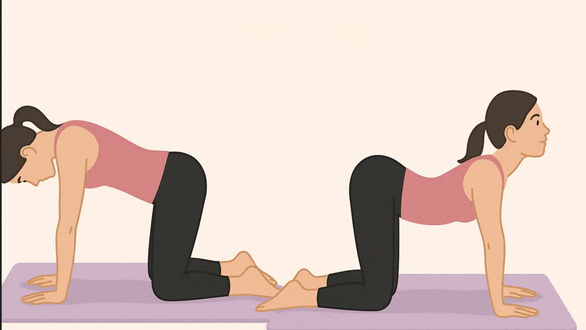 cat-cow-stretch-benefits