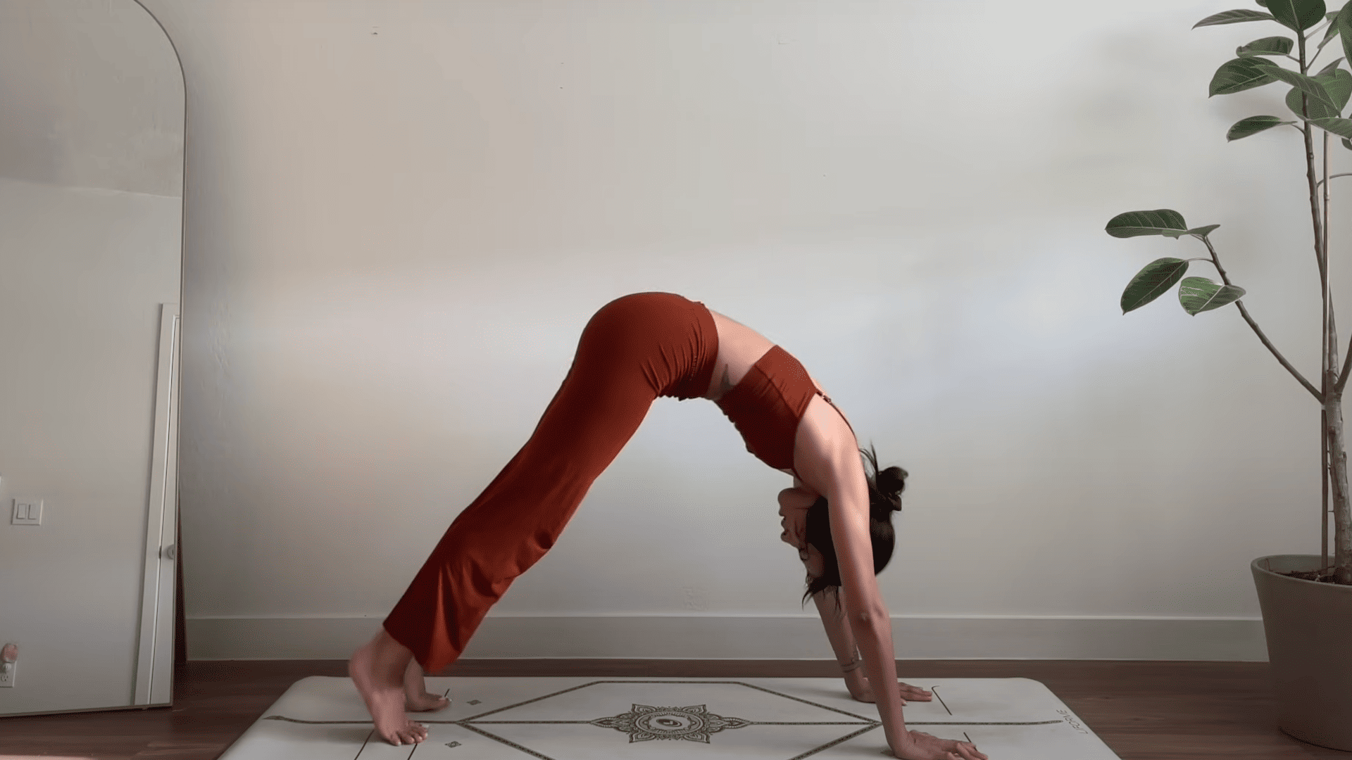 Downward Dog with Heel Lifts