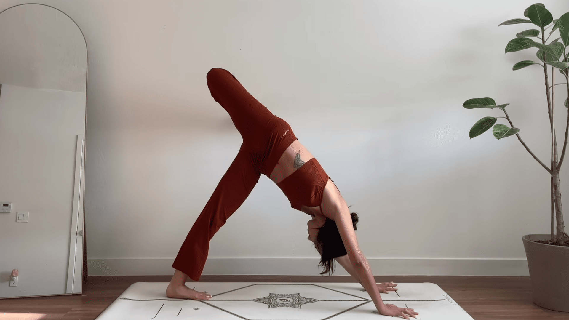 Three Legged Dog Flow