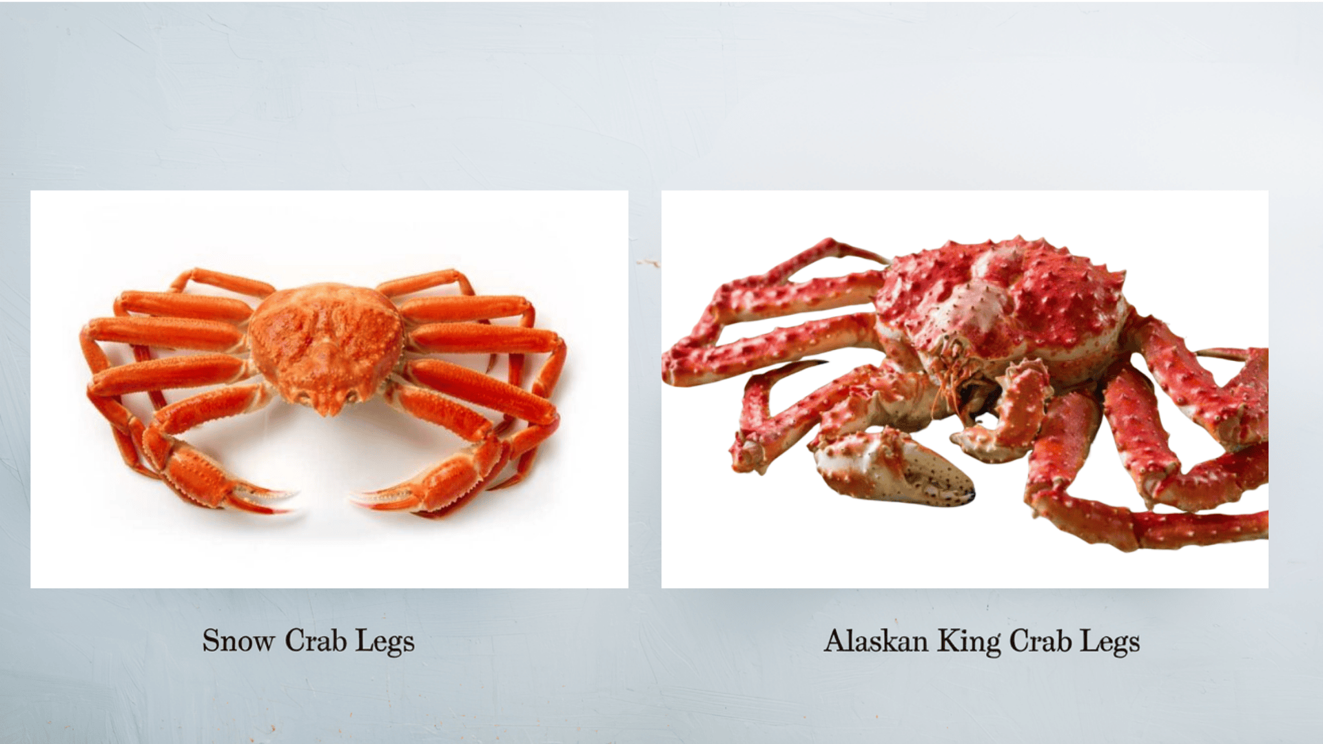 snow crab vs king crab