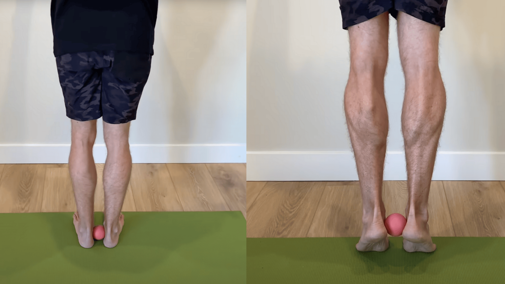 Calf Raises with Ball Squeeze