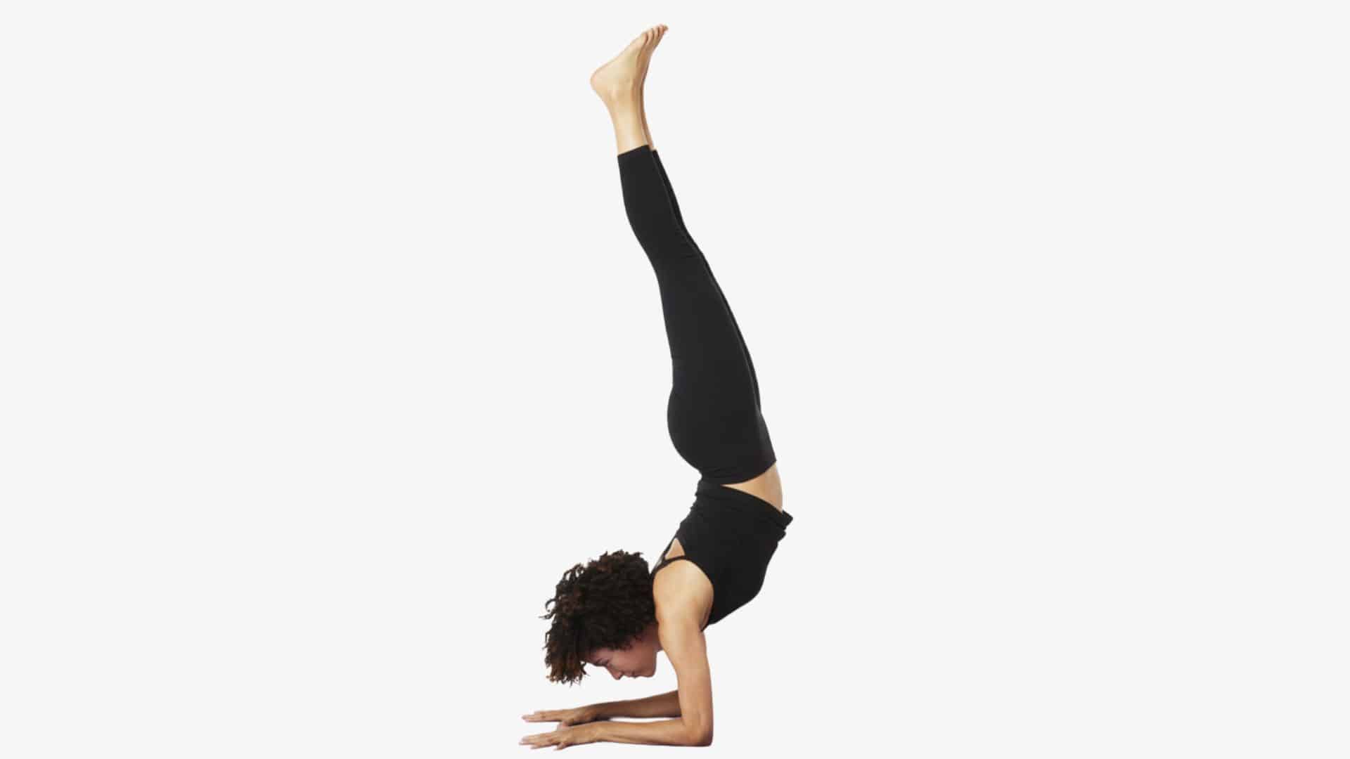 pincha-mayurasana