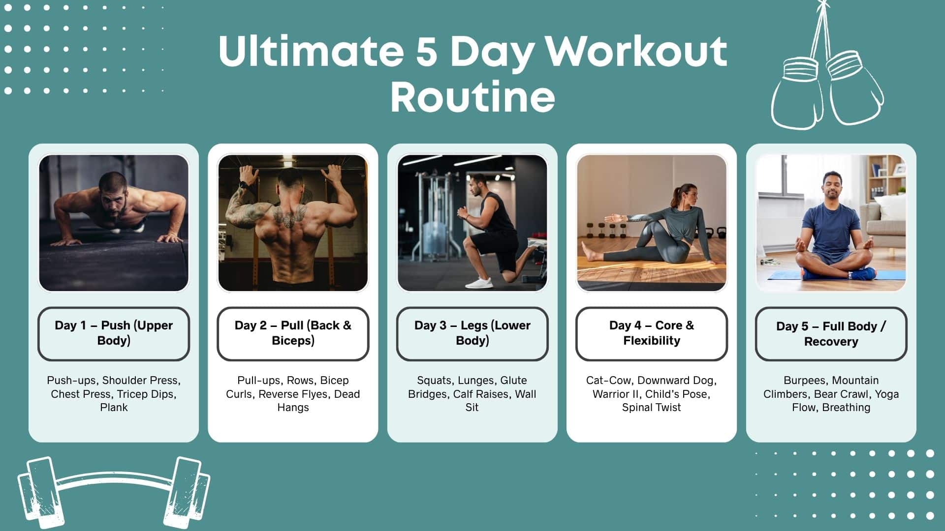 workout routin for muscle gain